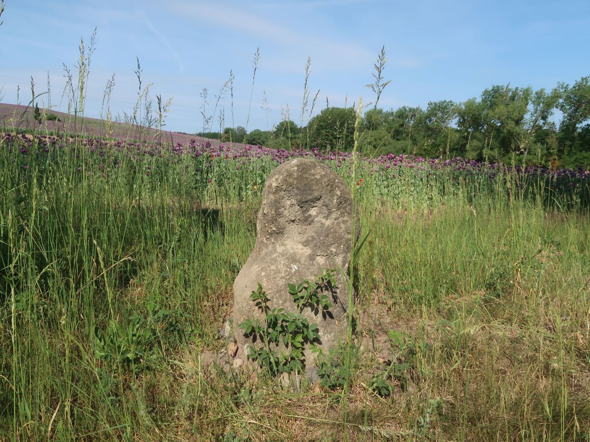 Czech Menhirs –&nbsp;2