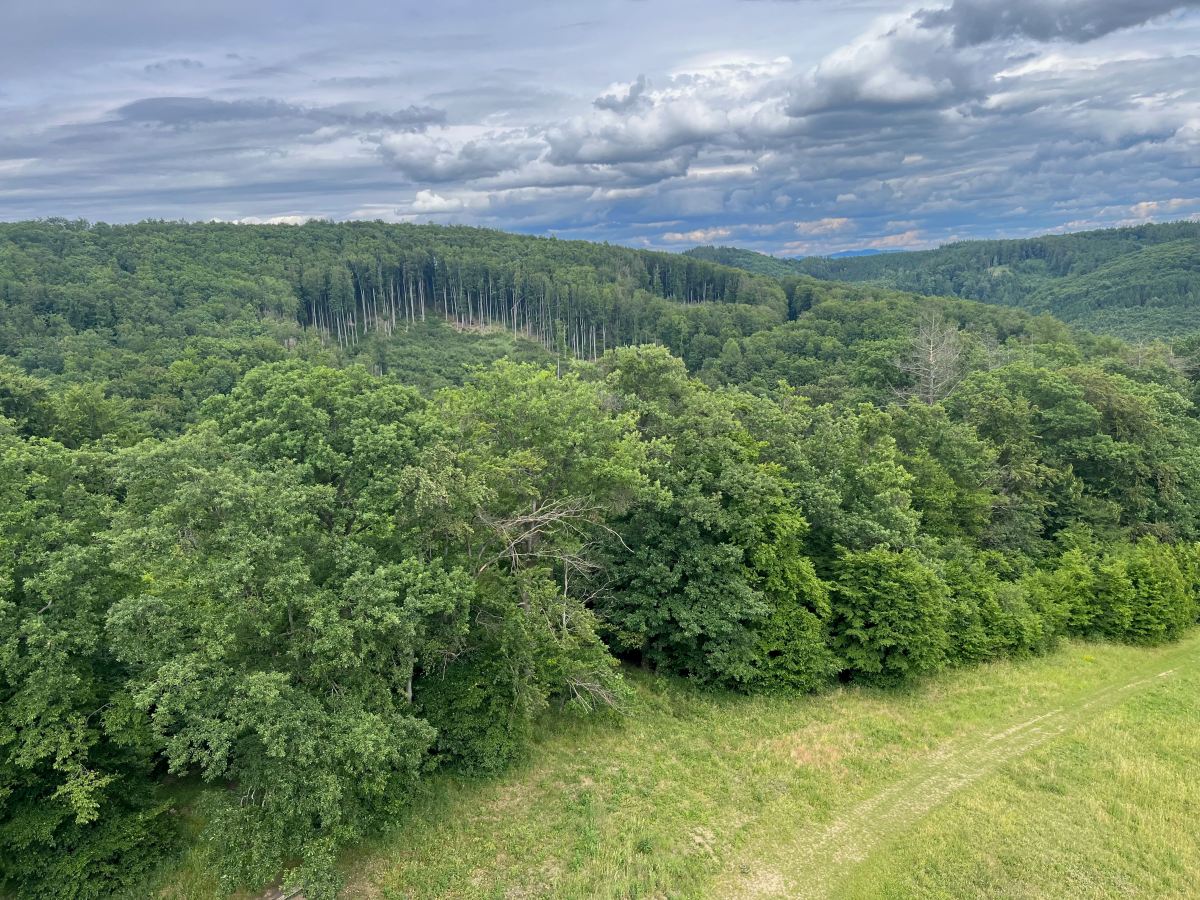 A hike in the Chřiby&nbsp;Mountains