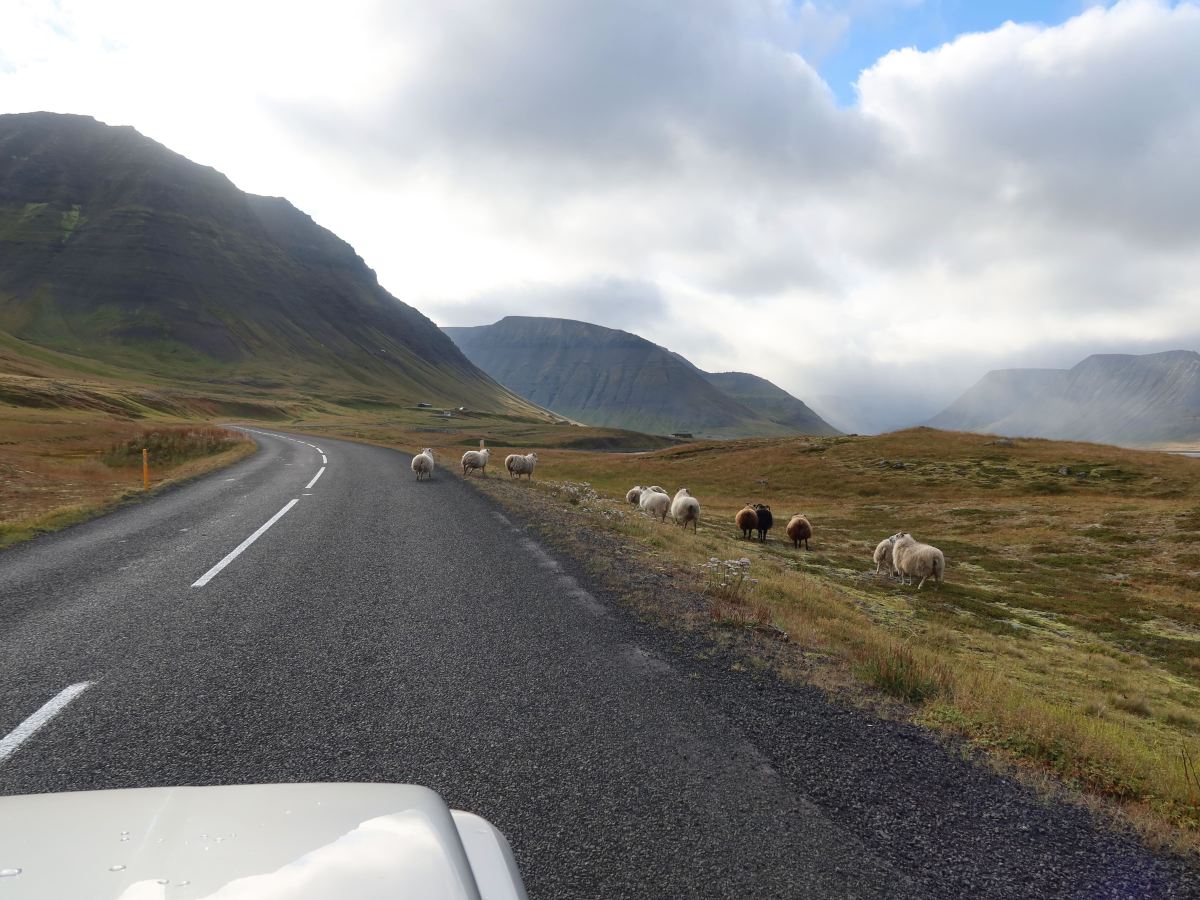 Flateyri, Iceland to Holmavik,&nbsp;Iceland