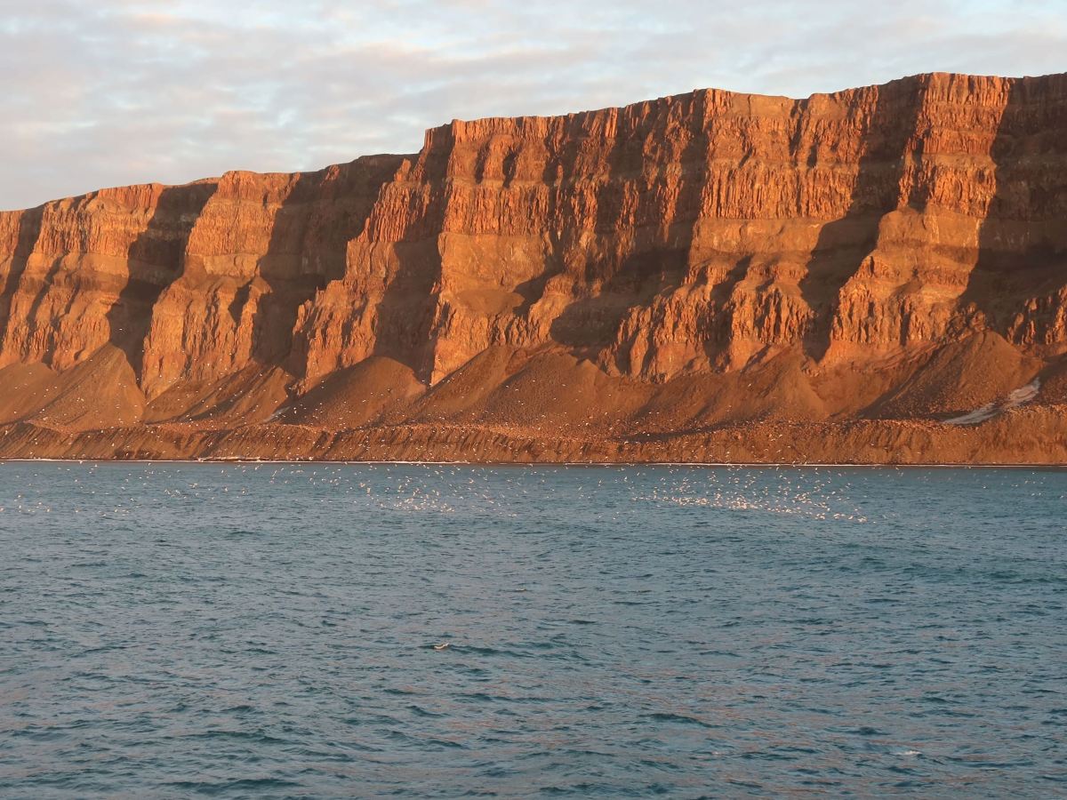 The Denmark Strait to the Scoresby Sund,&nbsp;Greenland