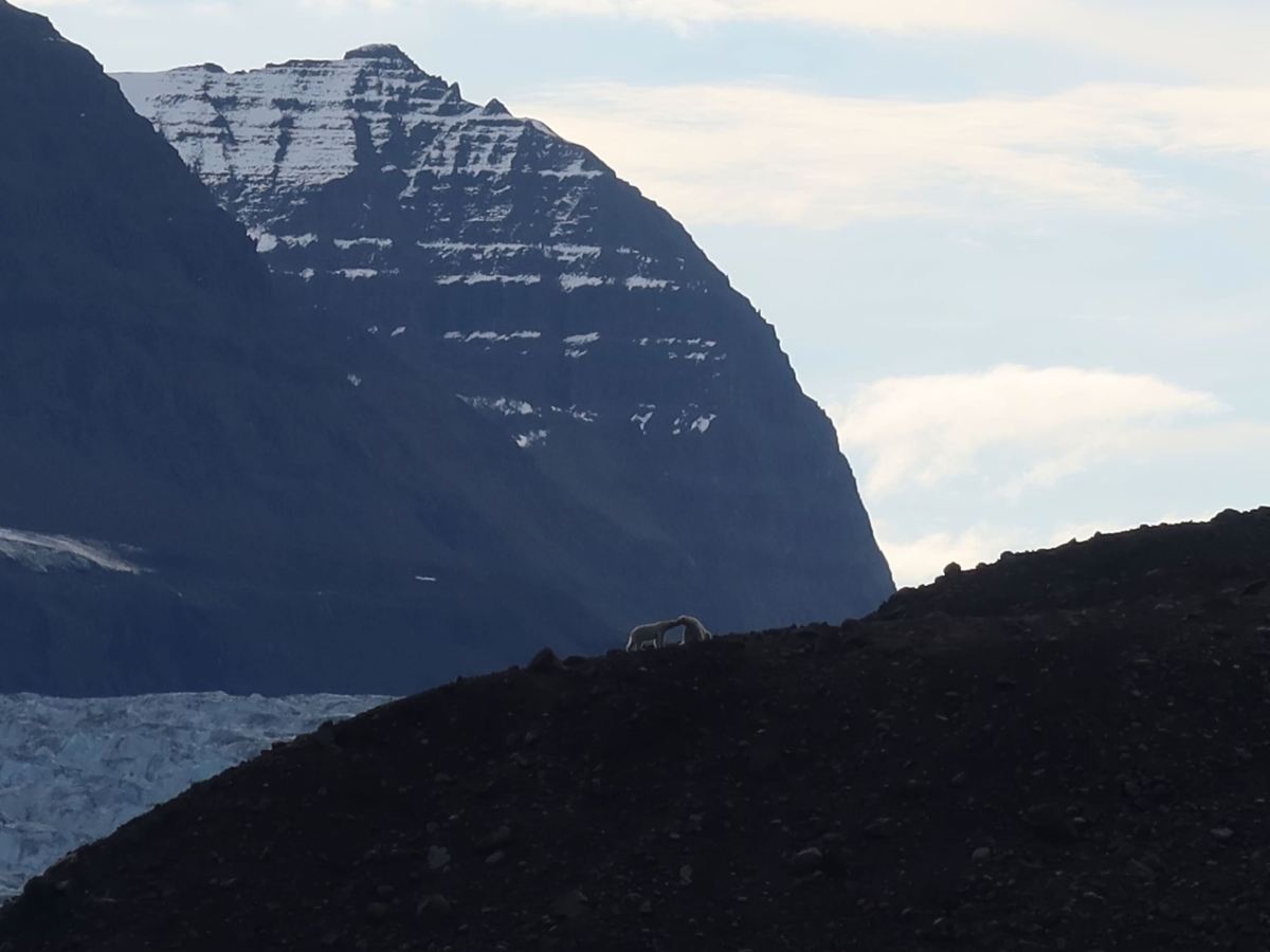 Vikingebugt, Scoresby Sund,&nbsp;Greenland